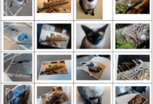 Baidu’s Artificial-Intelligence Supercomputer (Minwa) Beats Google at Image Recognition